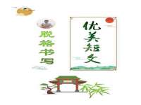 郑州晟禾生物科技有限公司