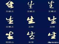 郑州晟禾生物科技有限公司