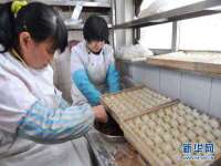 郑州晟禾生物科技有限公司