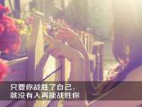郑州晟禾生物科技有限公司