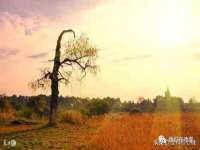 郑州晟禾生物科技有限公司