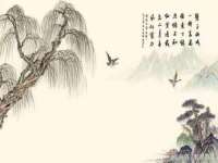 郑州晟禾生物科技有限公司