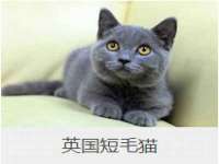郑州晟禾生物科技有限公司