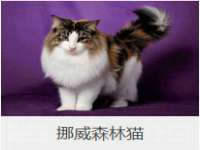 郑州晟禾生物科技有限公司