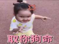 郑州晟禾生物科技有限公司