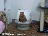 郑州晟禾生物科技有限公司