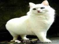 郑州晟禾生物科技有限公司