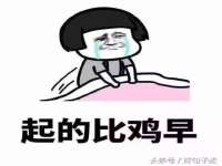 郑州晟禾生物科技有限公司