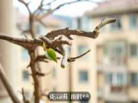 郑州晟禾生物科技有限公司