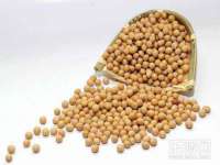 郑州晟禾生物科技有限公司