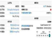 郑州晟禾生物科技有限公司