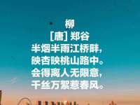郑州晟禾生物科技有限公司