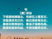 郑州晟禾生物科技有限公司