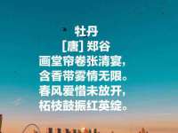 郑州晟禾生物科技有限公司