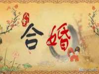 郑州晟禾生物科技有限公司