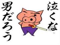 郑州晟禾生物科技有限公司