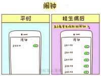 郑州晟禾生物科技有限公司