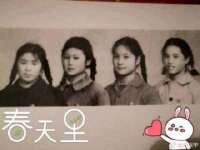 郑州晟禾生物科技有限公司
