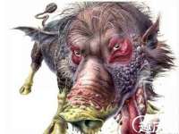 郑州晟禾生物科技有限公司