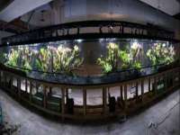 郑州晟禾生物科技有限公司