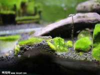 郑州晟禾生物科技有限公司