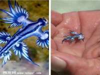 郑州晟禾生物科技有限公司