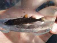 郑州晟禾生物科技有限公司