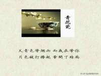 郑州晟禾生物科技有限公司
