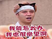 郑州晟禾生物科技有限公司
