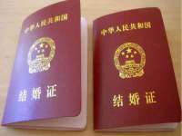 郑州晟禾生物科技有限公司
