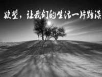 郑州晟禾生物科技有限公司