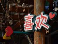 郑州晟禾生物科技有限公司