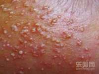 郑州晟禾生物科技有限公司