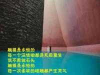 郑州晟禾生物科技有限公司