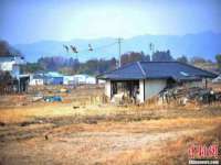 郑州晟禾生物科技有限公司