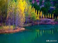 郑州晟禾生物科技有限公司