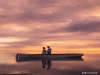 郑州晟禾生物科技有限公司