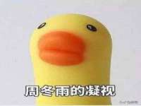 郑州晟禾生物科技有限公司