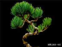 郑州晟禾生物科技有限公司